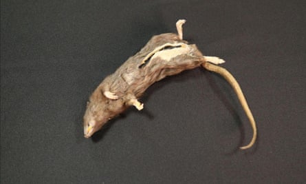 Dead rat drop at the CIA museum