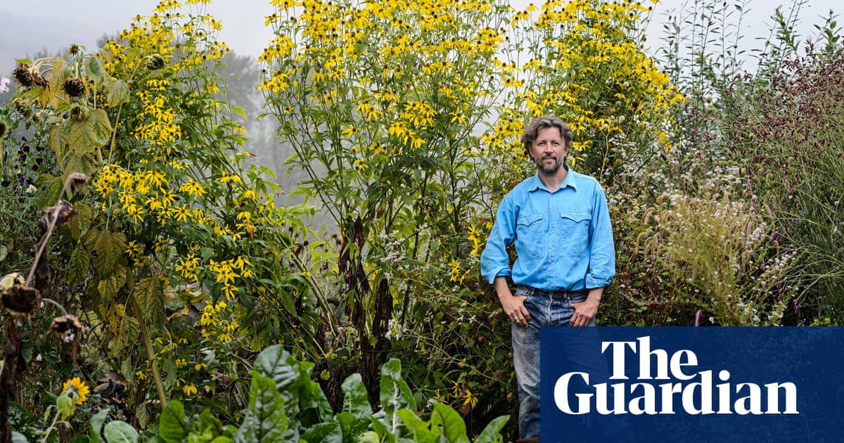 Gardens: lofty ambitions | Dan Pearson | Life and style | The Guardian Gardens: lofty ambitions | Dan Pearson | Life and style | The Guardian on Dan Pearson Garden
 id=27954