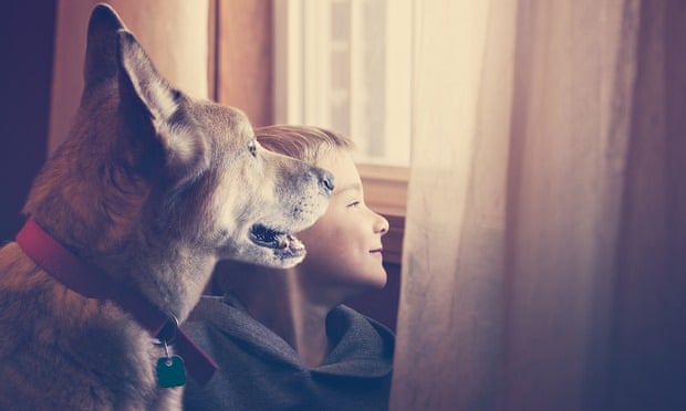 هل لمشاعر الحيوان أهمية كمشاعر الإنسان؟ 22 نون بوست