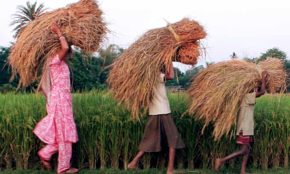 Indian farming family