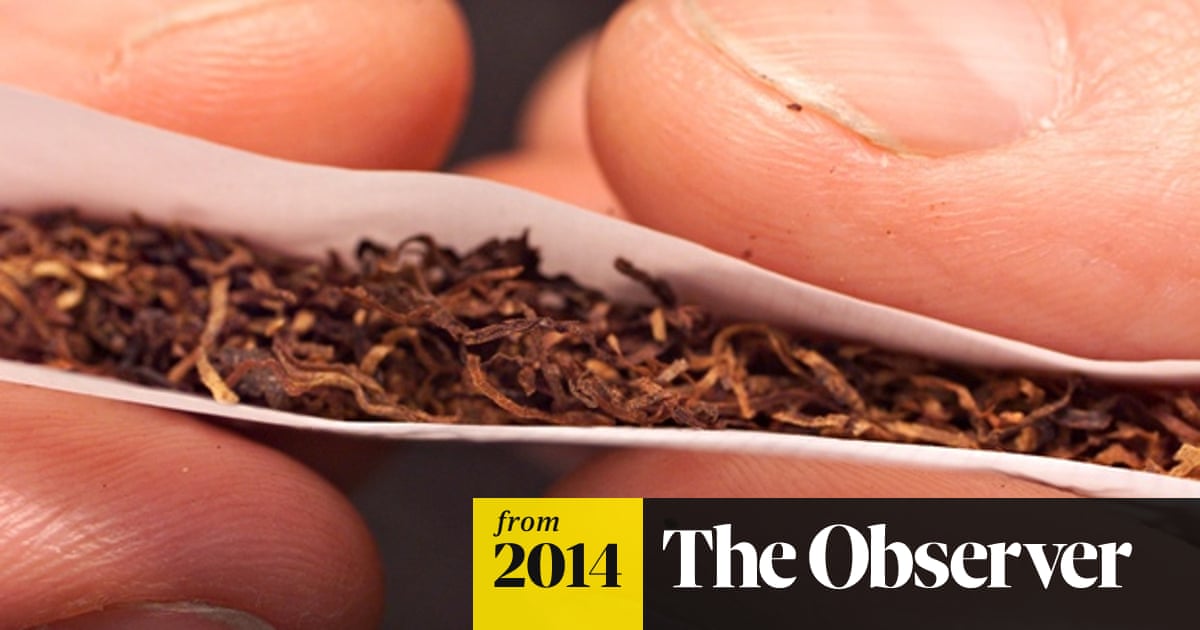 udta panchi tobacco owner Udta Panchhi : r/DippingTobacco udta panchi tobacco owner Udta Panchhi : r/DippingTobacco