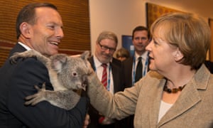 Angela Merkel pats a koala held by Tony Abbott on the sidelines of the G20 summit