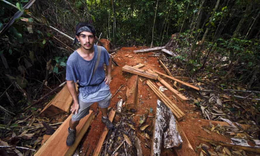 A naturalist and expedition guide stands on a pile of timber illegally logged from the Amazon rainforest in Peru.