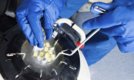 Fertilised embryos are stored in liquid nitrogen-filled tanks