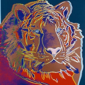 Siberian Tiger, 1983