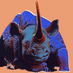 Black Rhinoceros, 1983