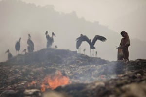 Smoke rises from burning rubbish as an Indian woman looks for recyclable material near greater adjutant storks at a waste site on the outskirts of Gauhati, India. The China-US climate agreement puts pressure on India to become more energy efficient and to encourage investment in renewable energy