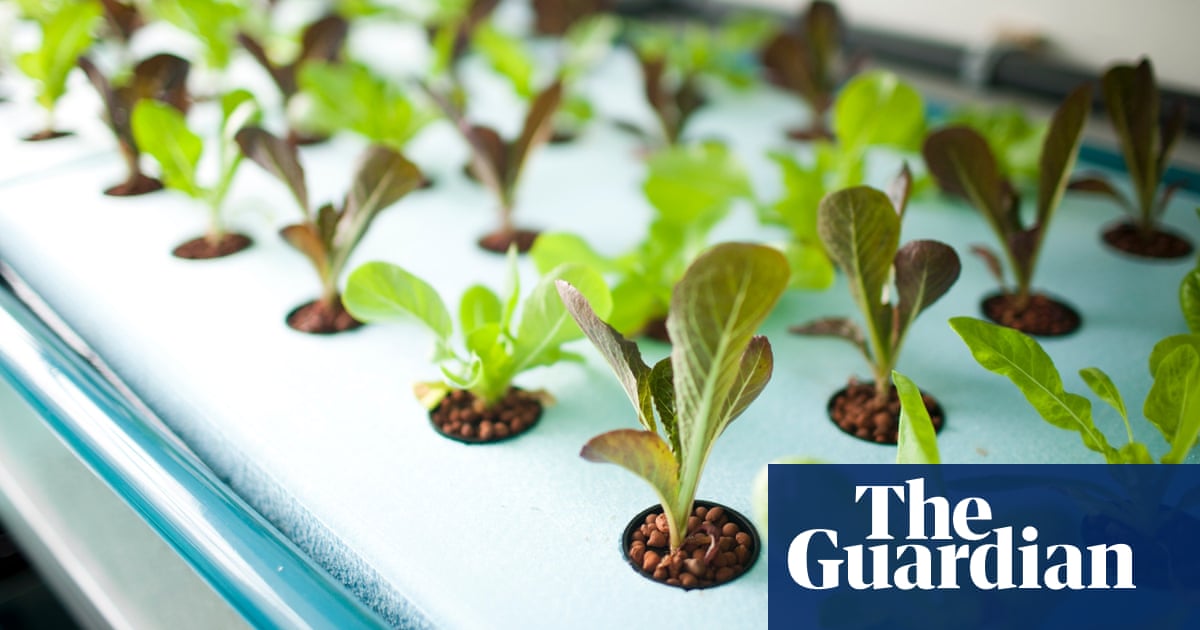 Aquaponics design books The World’s Biggest Vertical Farm Yet Is Going Up in Pennsylvania