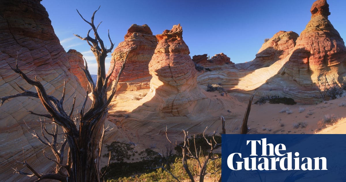 Climate Change Is An Obvious Myth How Much More Evidence Do You Need Climate Crisis The Guardian Climate Change Is An Obvious Myth How Much More Evidence Do You Need Climate Crisis The Guardian