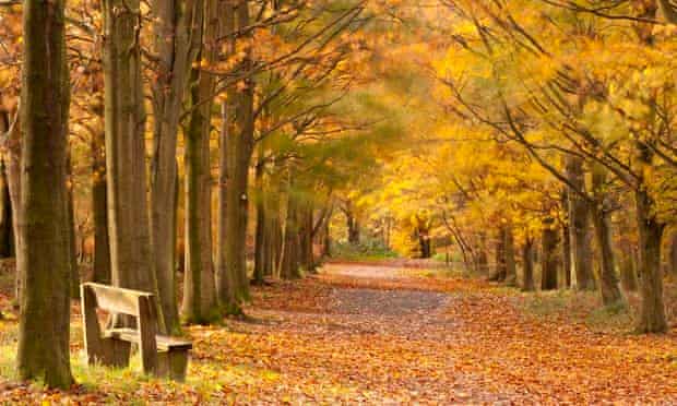 Is A Woodland Funeral The Best Way To Go Death And Dying The Guardian Is A Woodland Funeral The Best Way To Go Death And Dying The Guardian