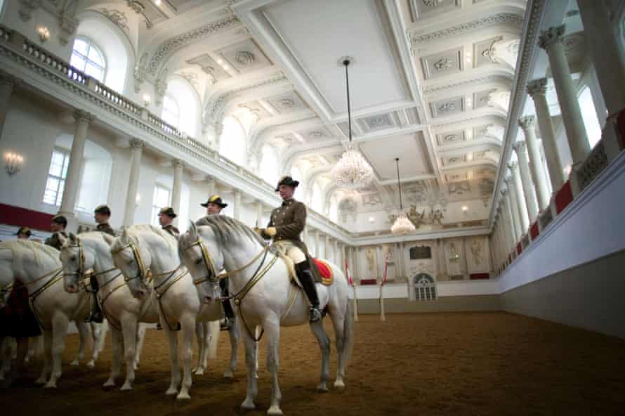 Lipizzaner Stallions at the Spanish Riding School.