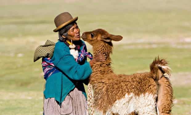 Woman with Llama in Bolivia