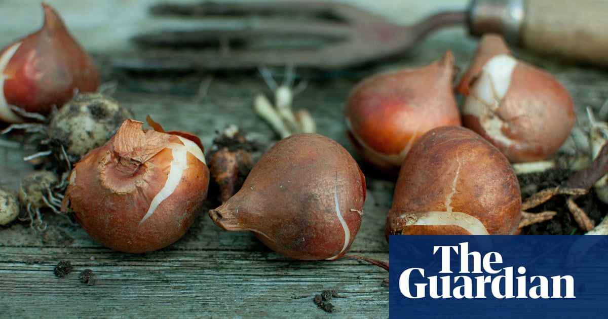 Gardens: a sense of place | Dan Pearson | Life and style | The Guardian Gardens: a sense of place | Dan Pearson | Life and style | The Guardian on Dan Pearson Garden
 id=63494