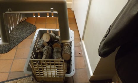 Firewood in a cat basket