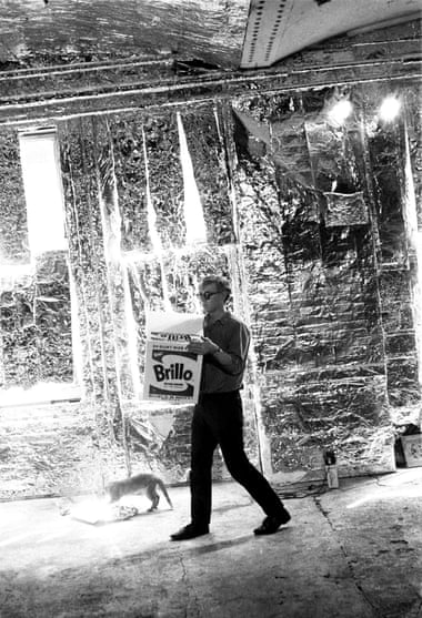 Warhol with cat and Brillo box