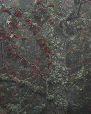 Bowdown berries - Newbury, Berkshire – which won the your view category