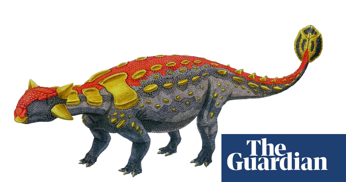 Top 10 Dinosaur Facts Children S Books The Guardian Top 10 Dinosaur Facts Children S Books The Guardian