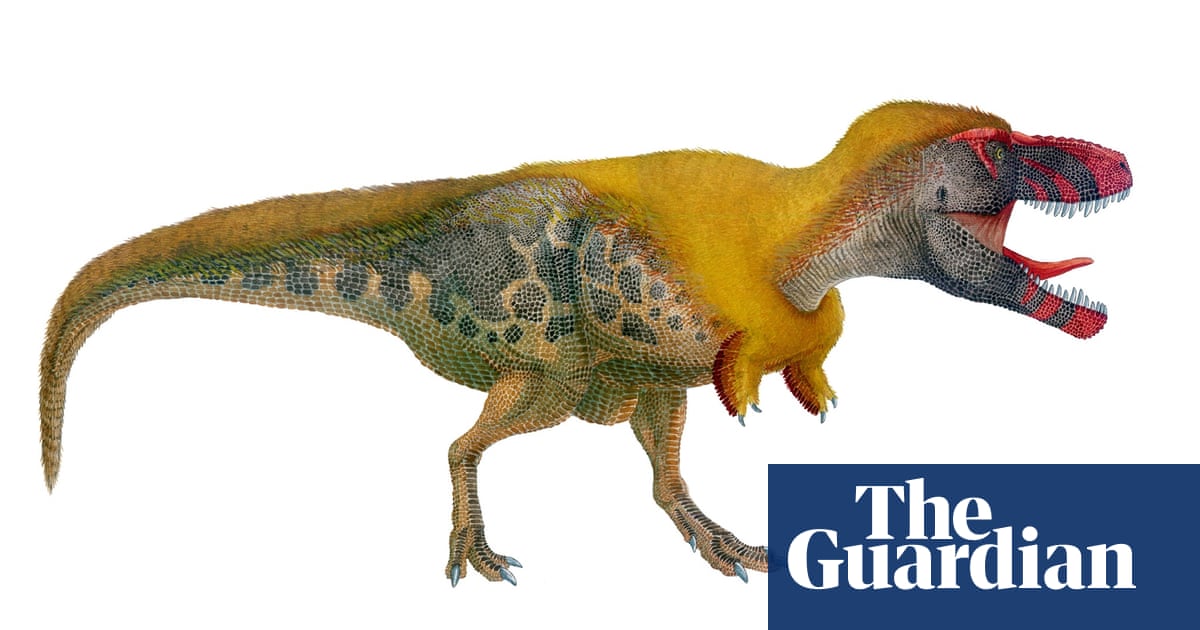 Top 10 Dinosaur Facts Children S Books The Guardian Top 10 Dinosaur Facts Children S Books The Guardian