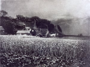 The Onion Field, 1890 by George Davidson