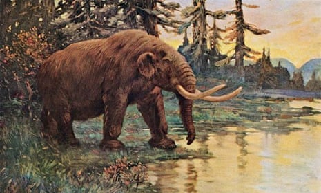 An artist's impression of a mastodon