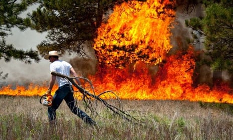 Man fights forest fire