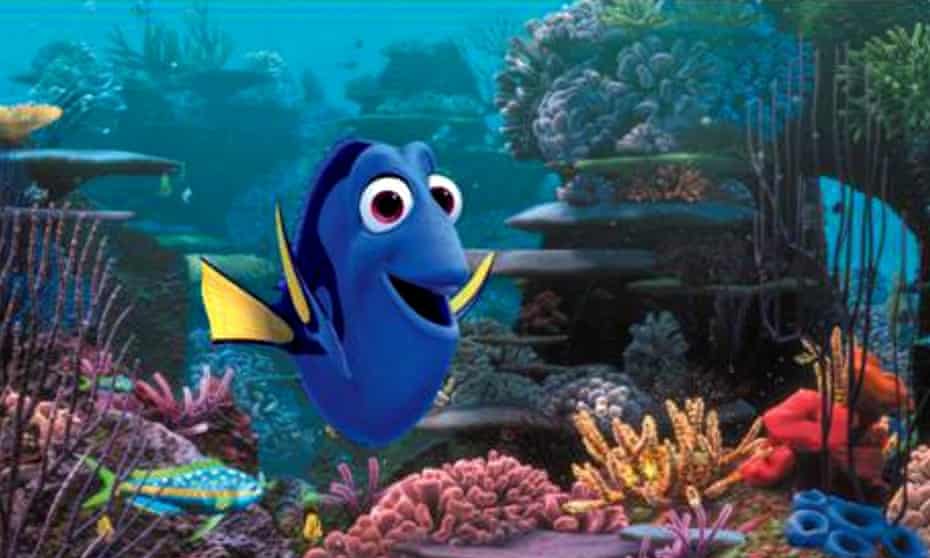Will Finding Dory Still Delight Without The Thrill Of The Open Ocean Movies The Guardian Will Finding Dory Still Delight Without The Thrill Of The Open Ocean Movies The Guardian