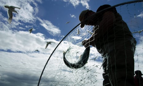 fisherman catches fish, seagull flies overhead