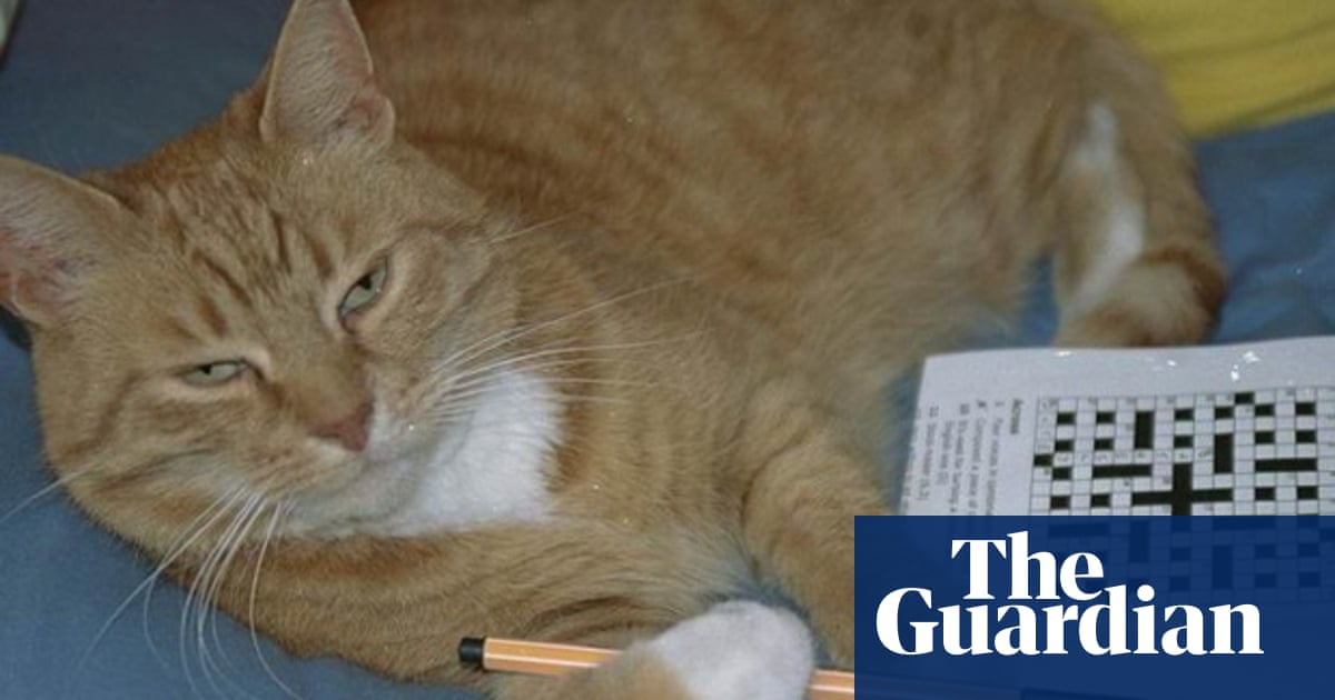 Crossword Blog Are Crosswords The Clickbait Of Print Publications