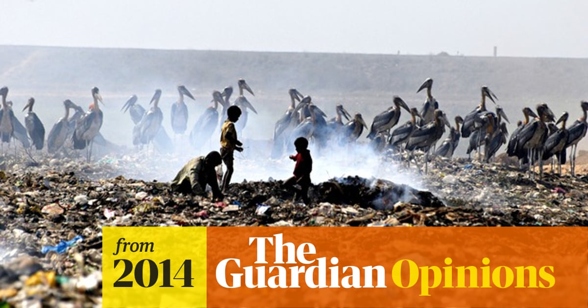 Five ways to stop mass extinction | Miles King | The Guardian