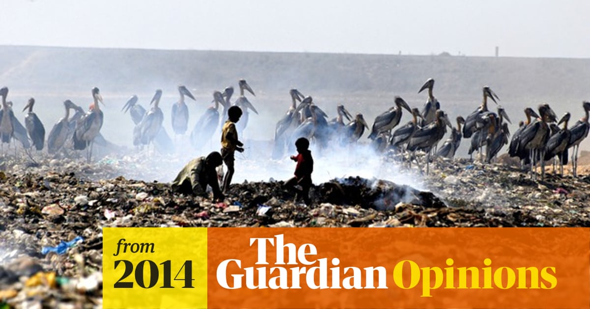 Five ways to stop mass extinction | Miles King | The Guardian Five ways to stop mass extinction | Miles King | The Guardian