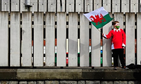 A young rugby fan waves a Welsh flag