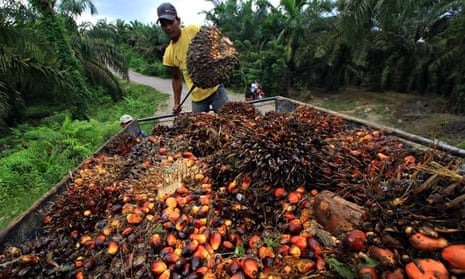 A worker loads palm oil seeds in Serba J