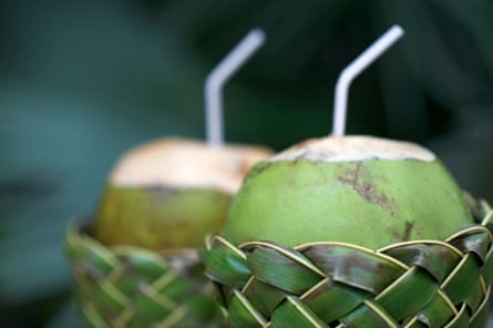 Fresh Coco Gelado Drinking Coconuts in Woven Basket.