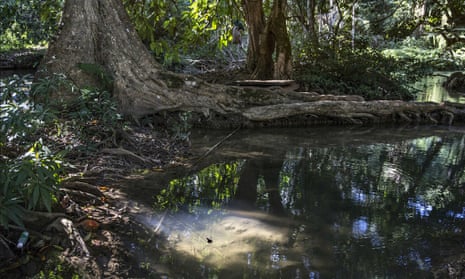 The contaminated Klity Creek, which has not been cleaned up, despite a court order. 