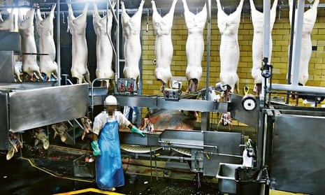 On the line: inside the Hormel pork processing plant in Fremont, Nebraska.