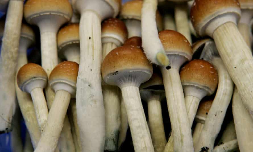 How Bad Trips On Lsd And Magic Mushrooms Compare Drugs The Guardian