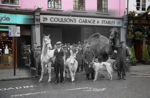 Horse, donkey, dog and camel: stable companions appear at Endell Street in 1933, not exactly what you might expect to see in the Covent Garden area these days