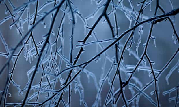 ice on trees top 10 winters in literature