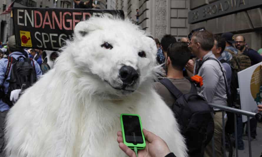 polar bear iphone