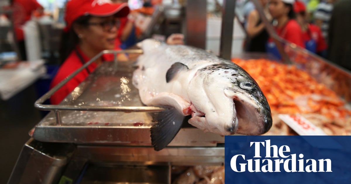 Police seek bad santa from alberta jewelry robbery Christmas rush at Sydney fish market – in pictures | Australia news