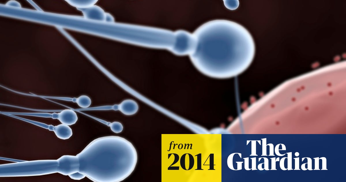 Scientists use skin cells to create artificial sperm and eggs