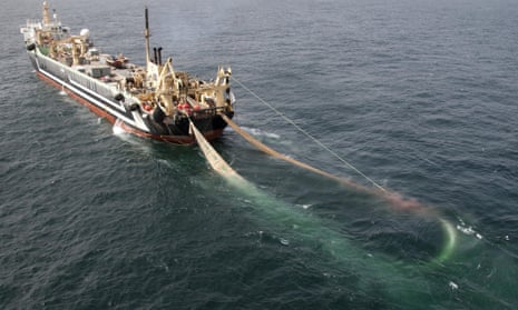 Supertrawler ban is flawed, say environmental and fishing groups
