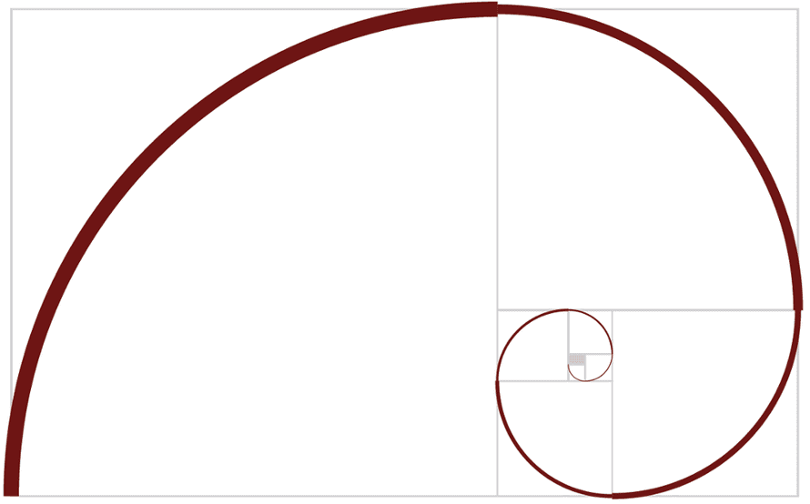The golden ratio has spawned a beautiful new curve: the Harriss spiral ...