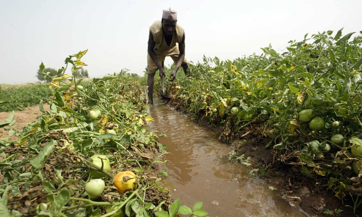 Eight steps to straight As in food security