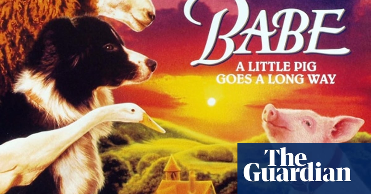 Babe rewatched – the smash-hit story of the little pig that could, 20 years on | Animation in film | The Guardian Babe rewatched – the smash-hit story of the little pig that could, 20 years on | Animation in film | The Guardian