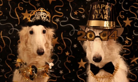 happy new year dogs