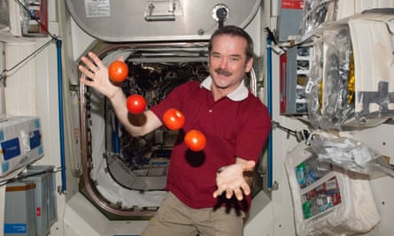 'Try to be nice' ... Expedition 34 Flight Engineer Chris Hadfield with floating tomatoes on the International Space Station in 2013.