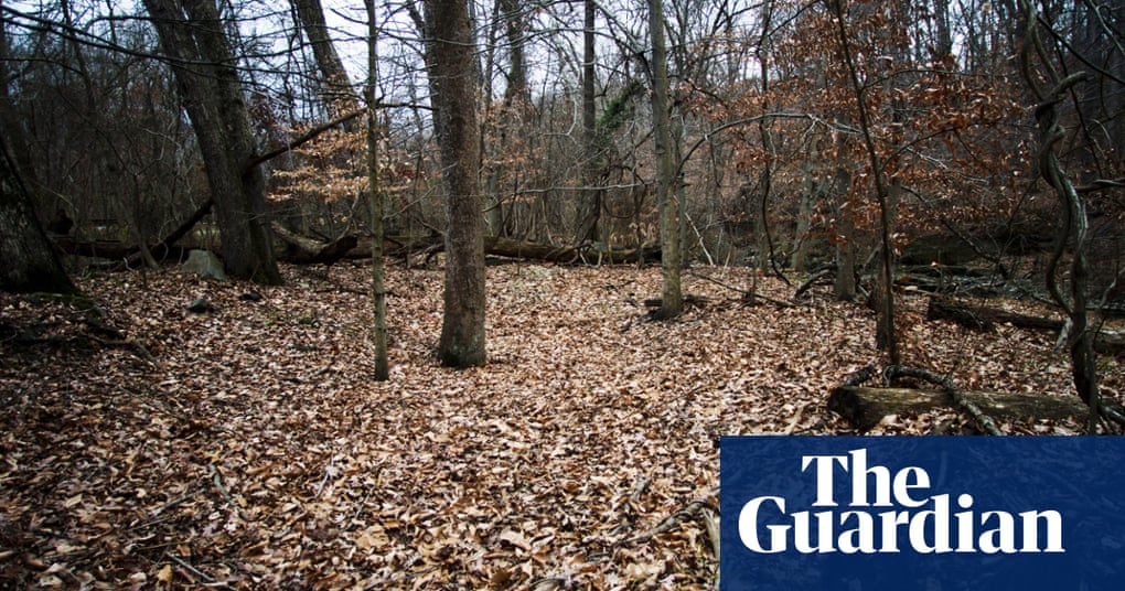 Serial: the key locations in the murder mystery podcast – in pictures |  Television & radio | The Guardian