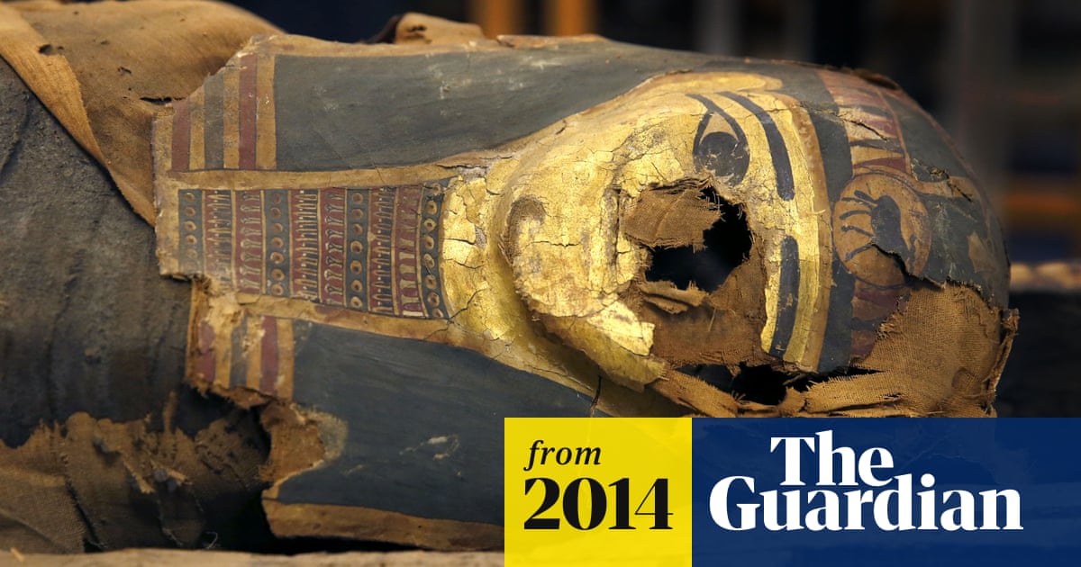 Scientists in Chicago prise open Egyptian mummy's coffin