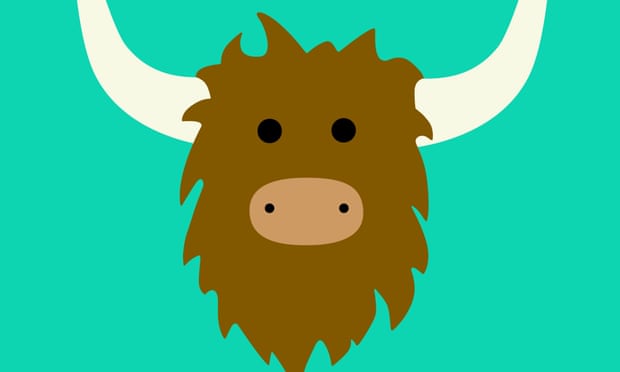 Yik Yak: popular with students and investors, but it was also vulnerable to hackers.
